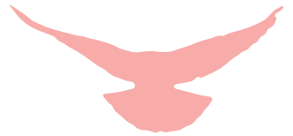 微信图片_20220110105329.png